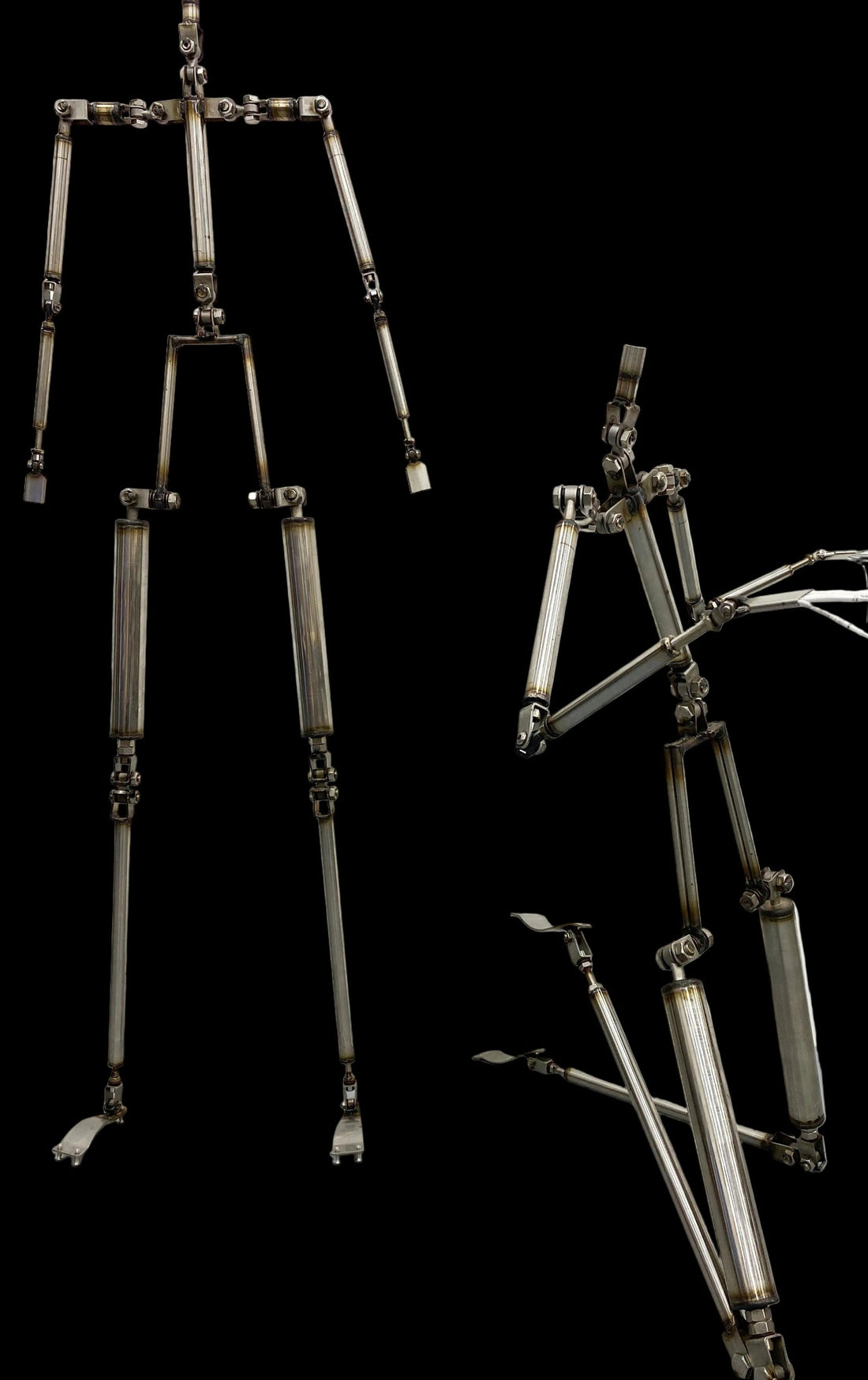 Scheletri Sex Doll 2026: Standard, Advanced, EVO e Yoga