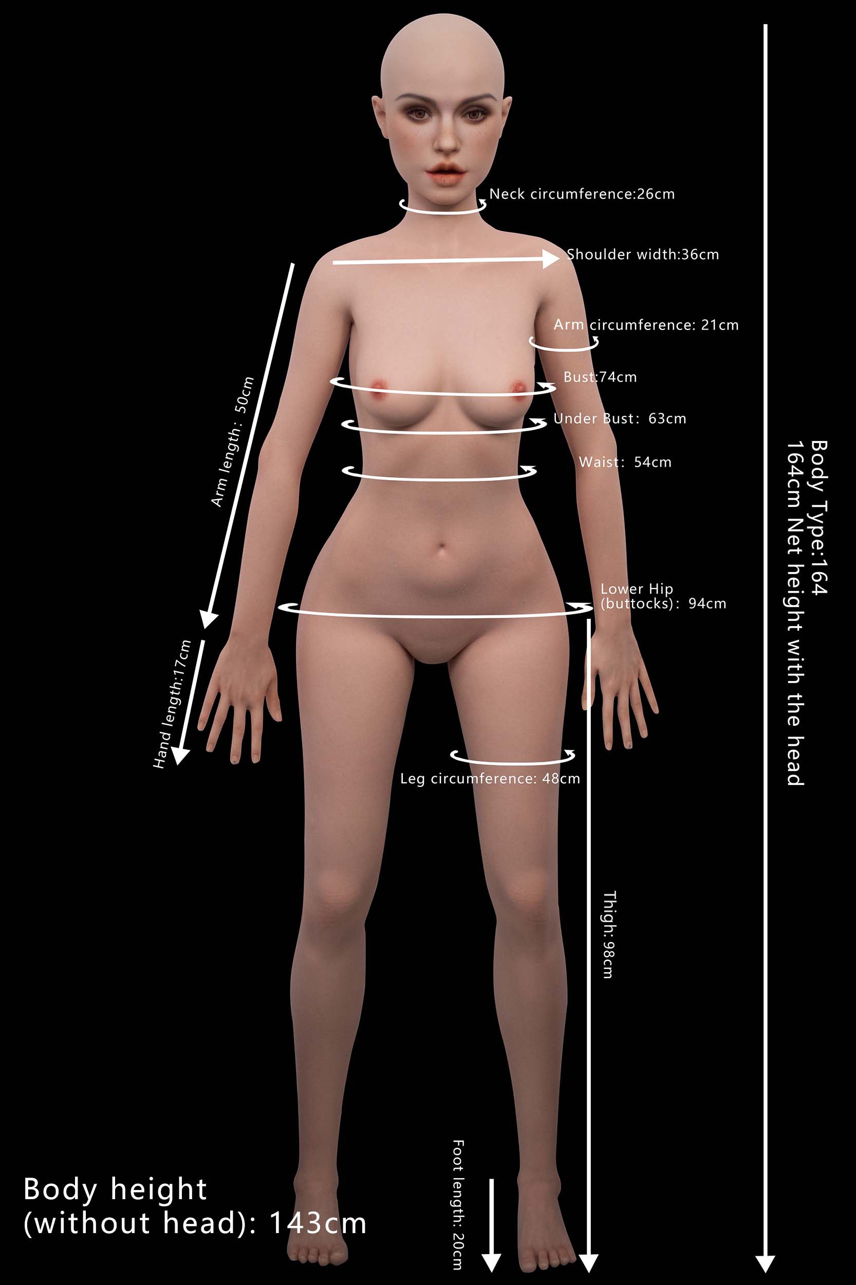 Proportions and measurements image