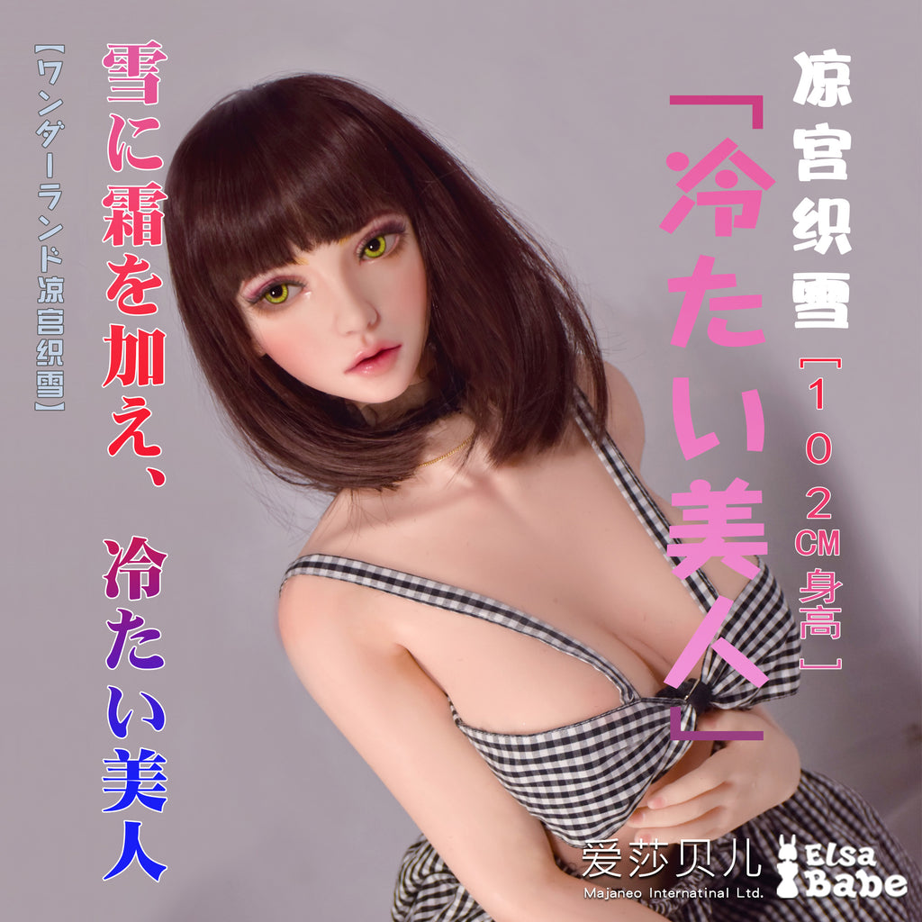 Suzumiya Oriyuki HA016 Elsa Babe technical information 01