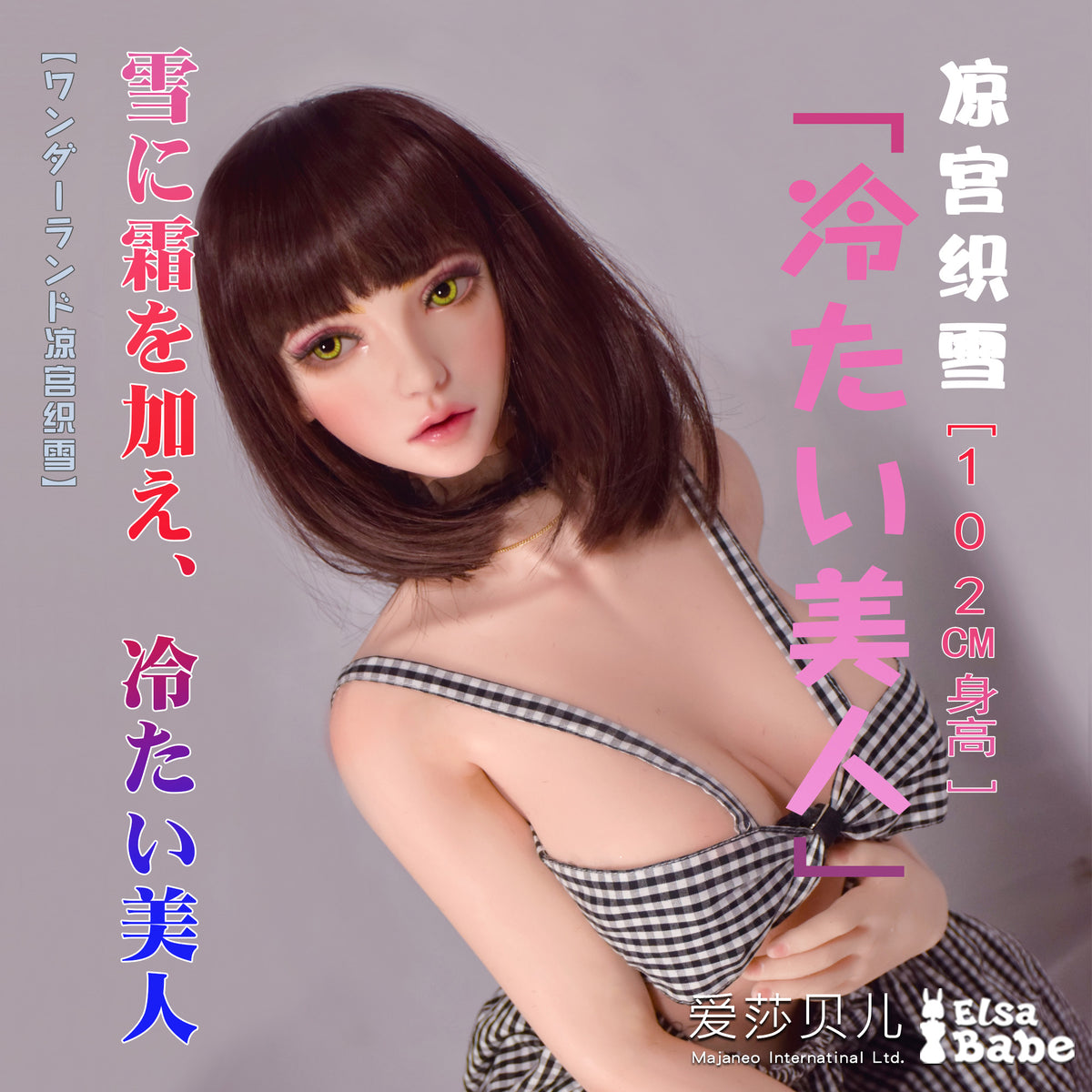 Suzumiya Oriyuki HA016 Elsa Babe technical information 01