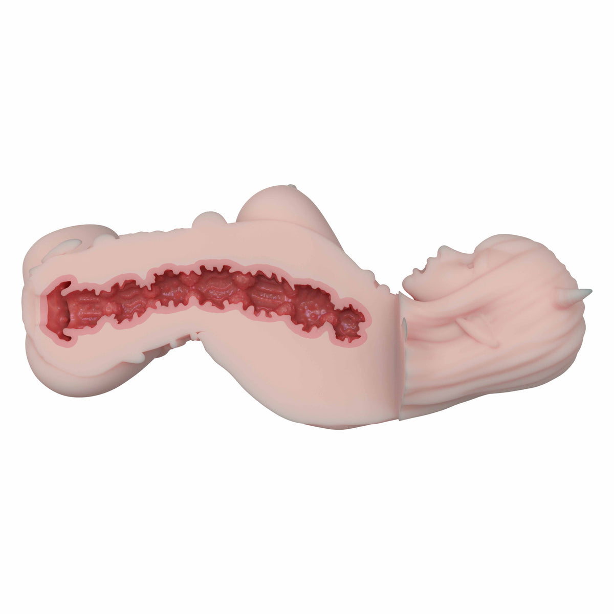 Elsa Babe SSL017 Mediana cutaway struttura interna