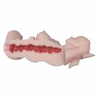 Elsa Babe SSL018 Keiko cutaway struttura interna