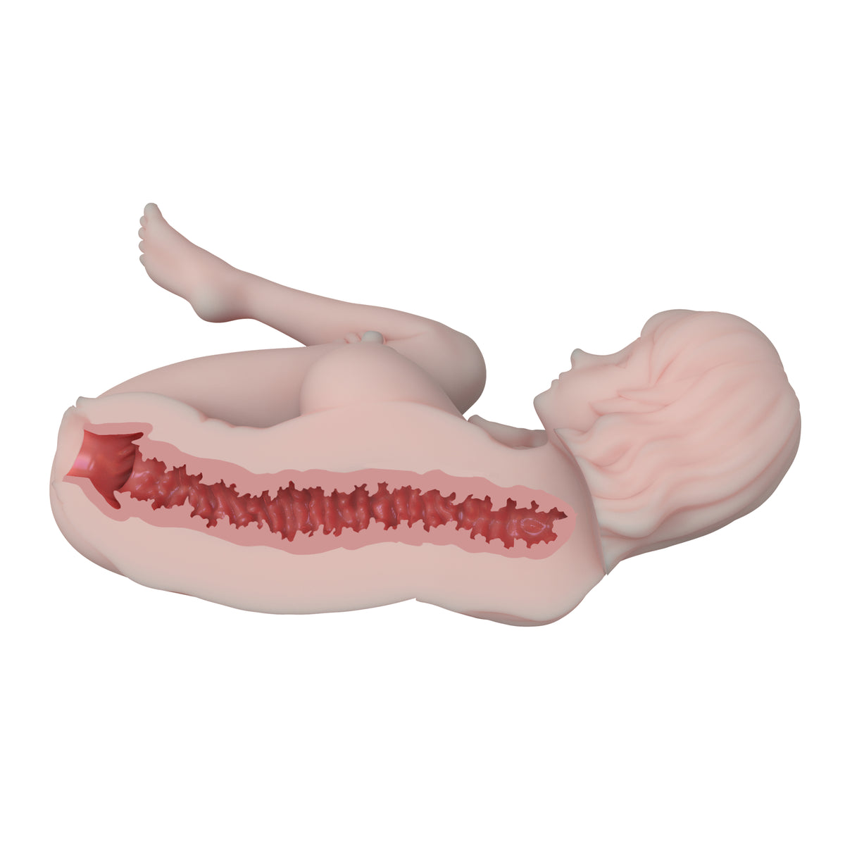 Elsa Babe SSL021 Rose sezione interna e struttura del canale