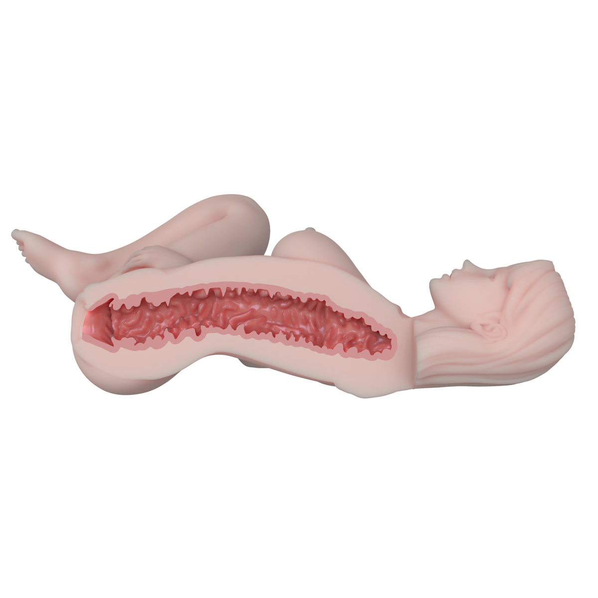 Elsa Babe SSL030 Elisa - struttura interna