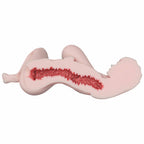 Elsa Babe SSL034 Bessie - struttura interna