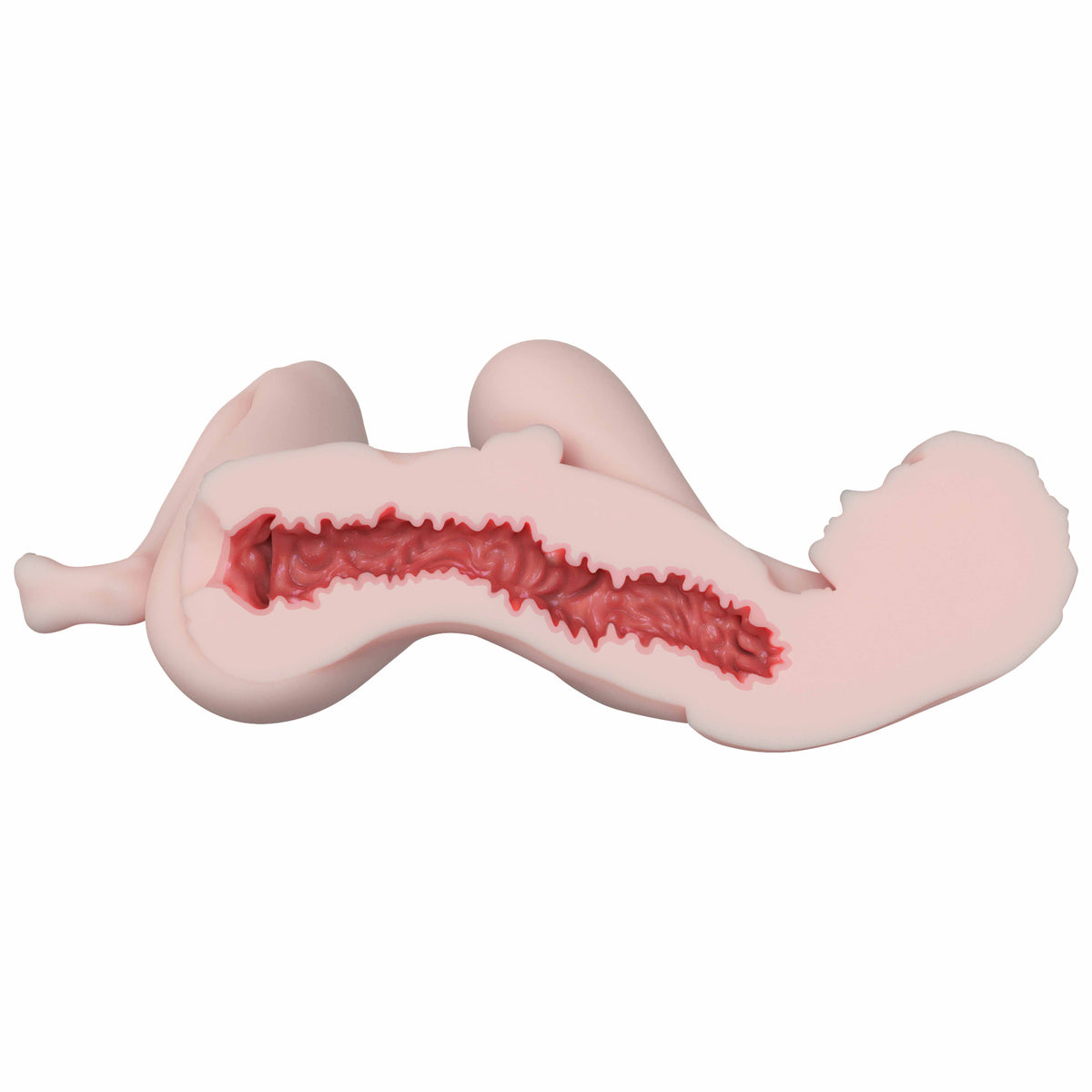 Elsa Babe SSL034 Bessie - struttura interna
